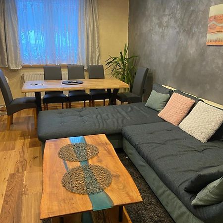 Apartman Orlicke Hory Orlicke Zahori 外观 照片