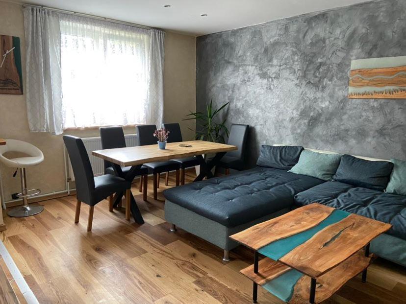 Apartman Orlicke Hory Orlicke Zahori 外观 照片