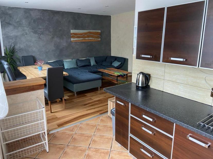 Apartman Orlicke Hory Orlicke Zahori 外观 照片