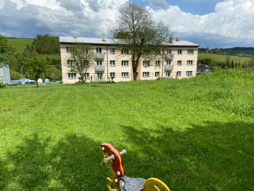 Apartman Orlicke Hory Orlicke Zahori 外观 照片