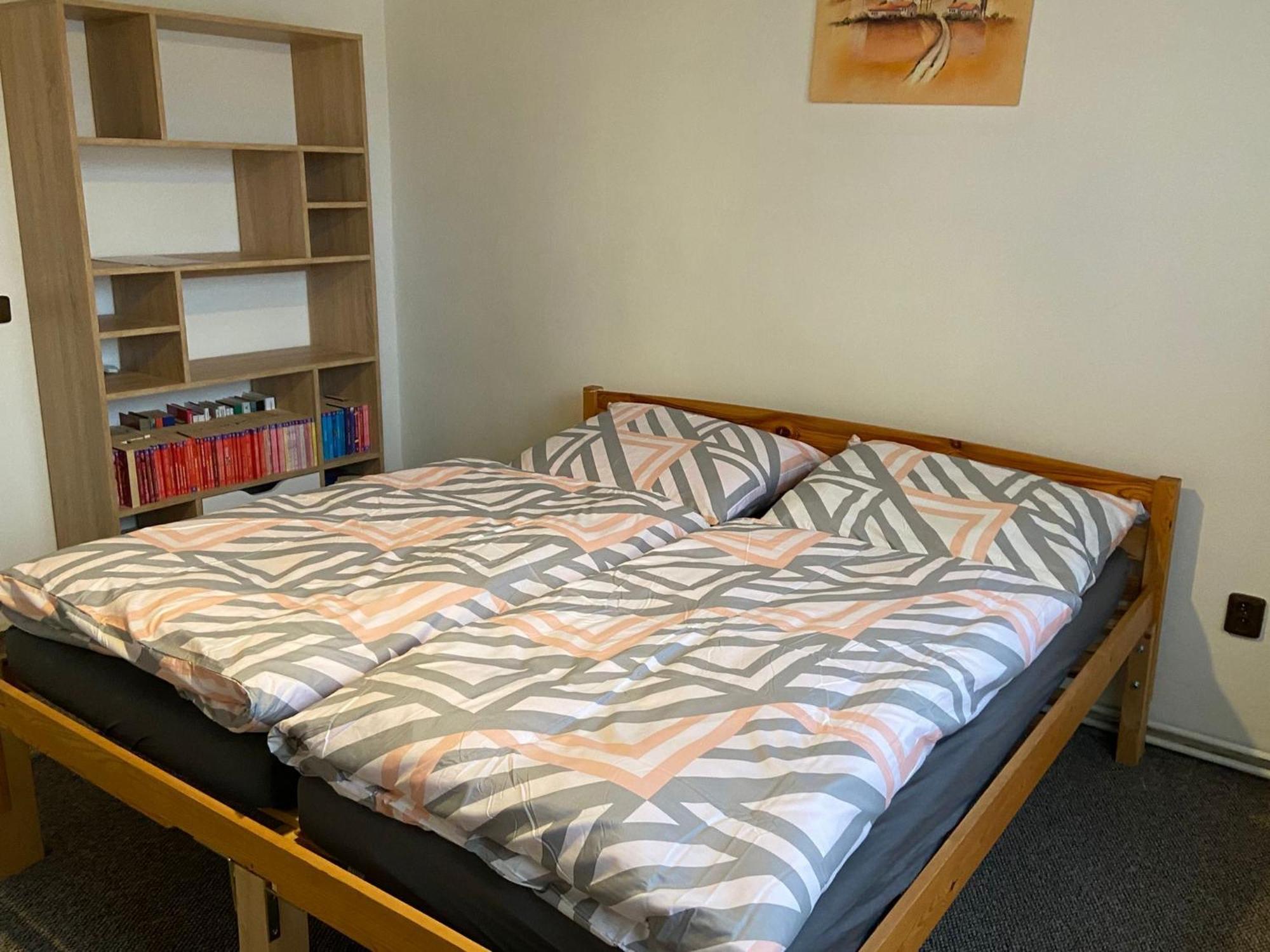 Apartman Orlicke Hory Orlicke Zahori 外观 照片