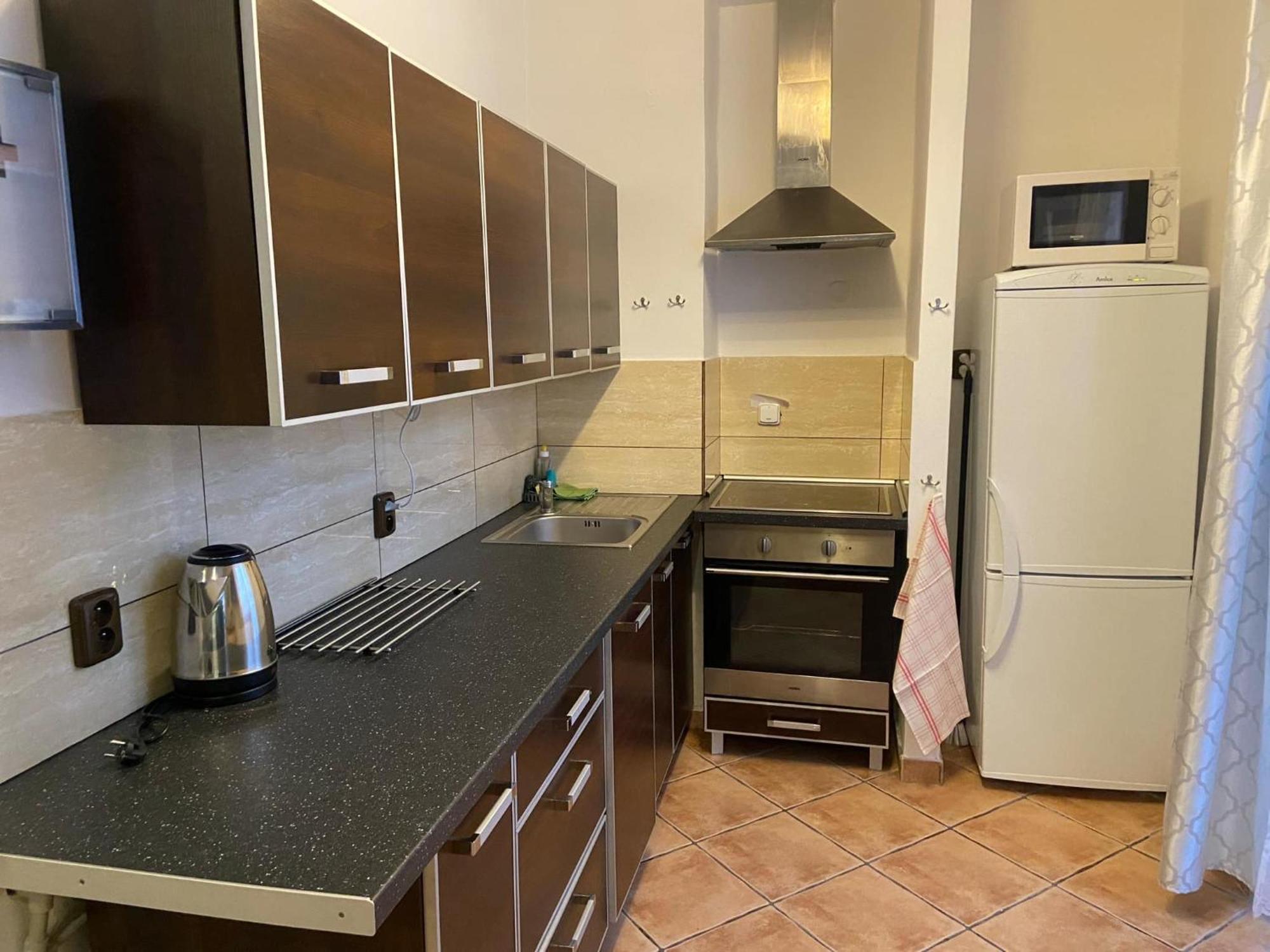 Apartman Orlicke Hory Orlicke Zahori 外观 照片